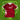 2016-17 FC Metz Home Shirt Ernik (M)